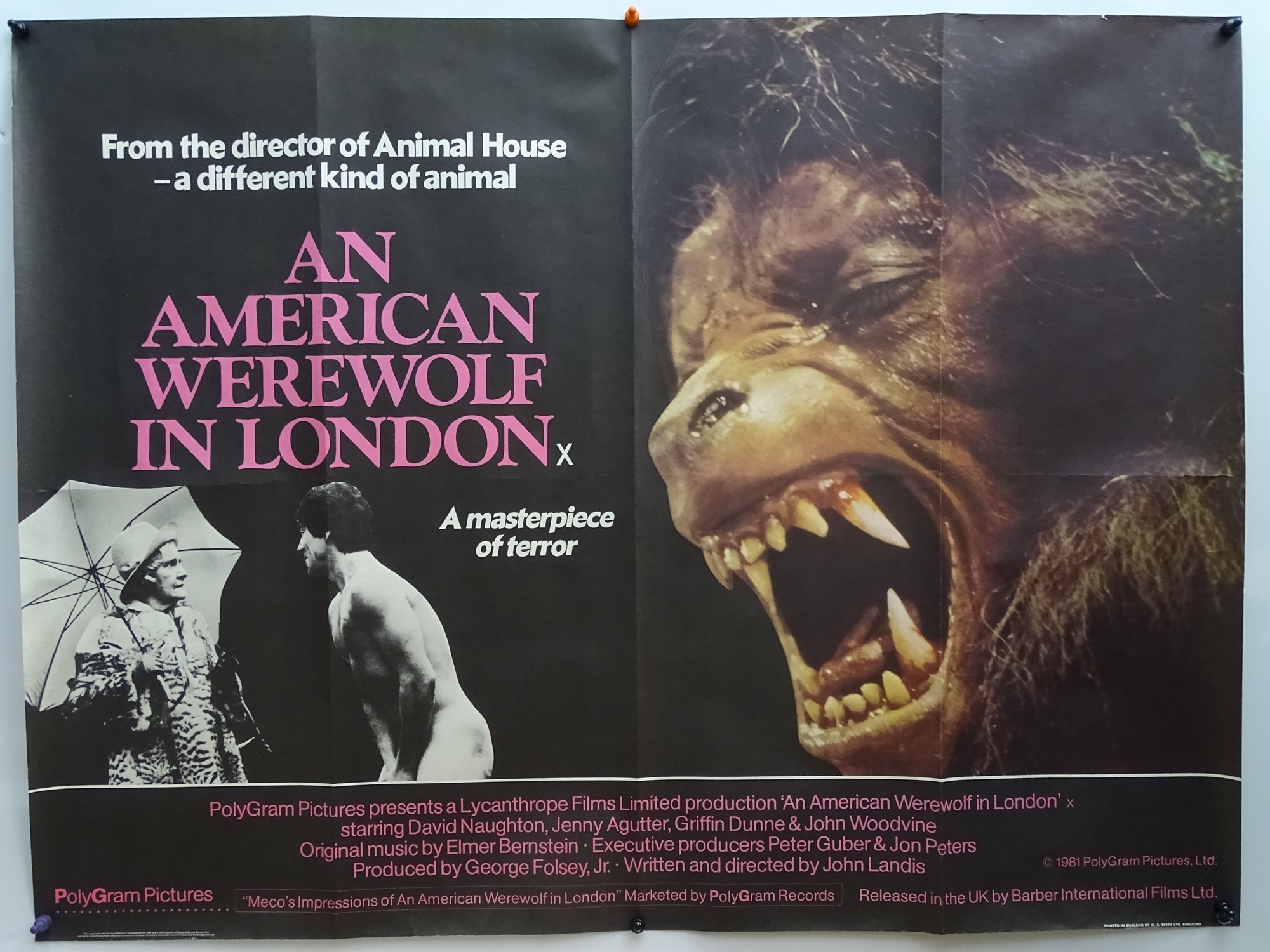 AN AMERICAN WEREWOLF IN LONDON (1981) - UK Quad Film Poster (arrived rolled, originally folded)