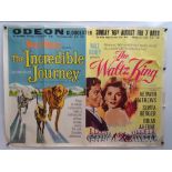 WALT DISNEY: ODEON Gloucester Double Bill Theatre Poster - THE INCREDIBLE JOURNEY / THE WALTZ KING -