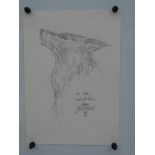 MARK BUCKINGHAM ORIGINAL 'WOLF' DRAWING - SIGNED BY ARTIST MARK BUCKINGHAM - Pencil, graphite sketch