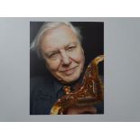 AUTOGRAPH: SIR DAVID ATTENBOROUGH - Broadcaster and natural historian - signed 10" x 8" colour