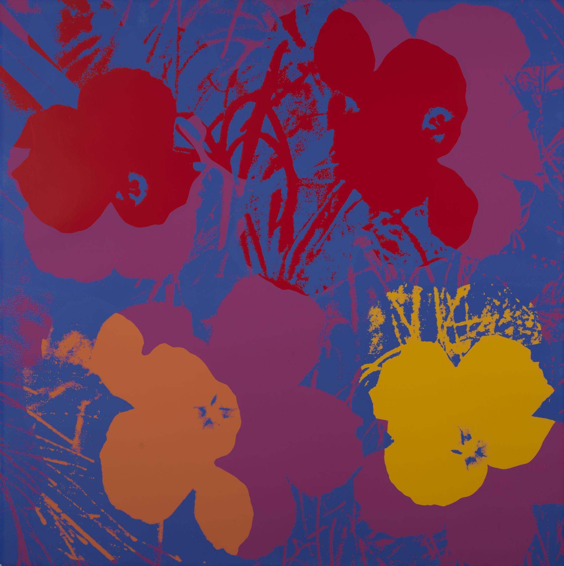Andy WARHOL - D'après- Blue Poppy Flower - Lithographie - Tampon au dos - 91 x 91 [...]