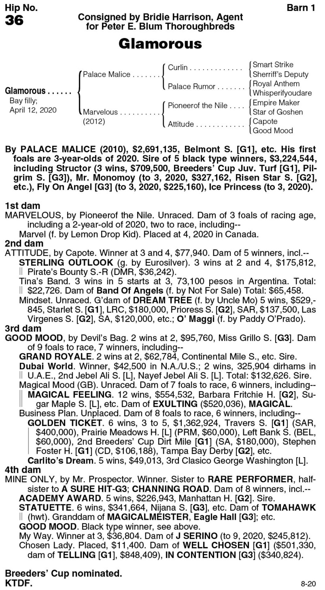 2020-PALACE MALICE-MARVELOUS-F