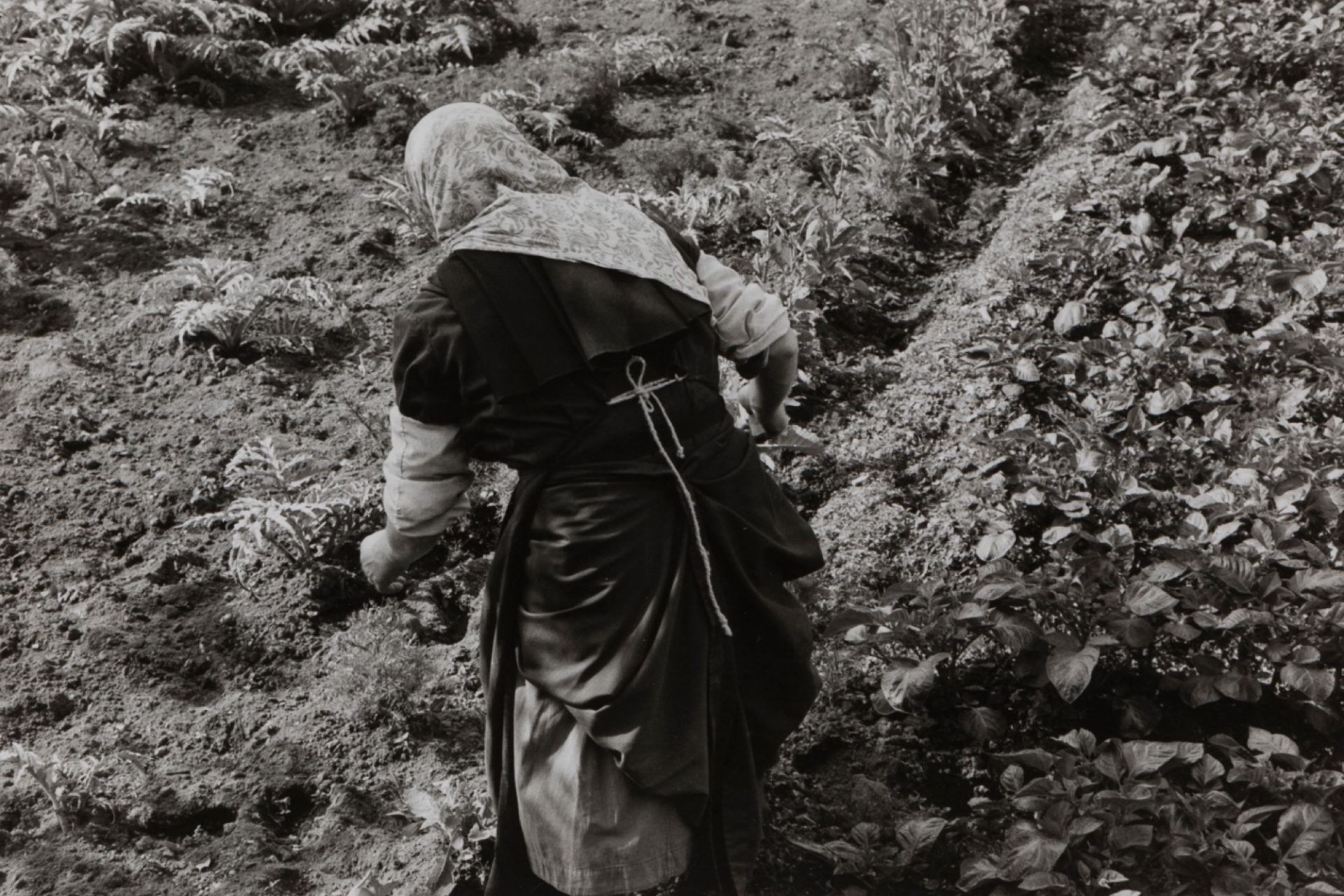 Edouard Boubat (1923-1999) - Untitled (Countrywoman), years 1950 - Two gelatin [...] - Bild 2 aus 3