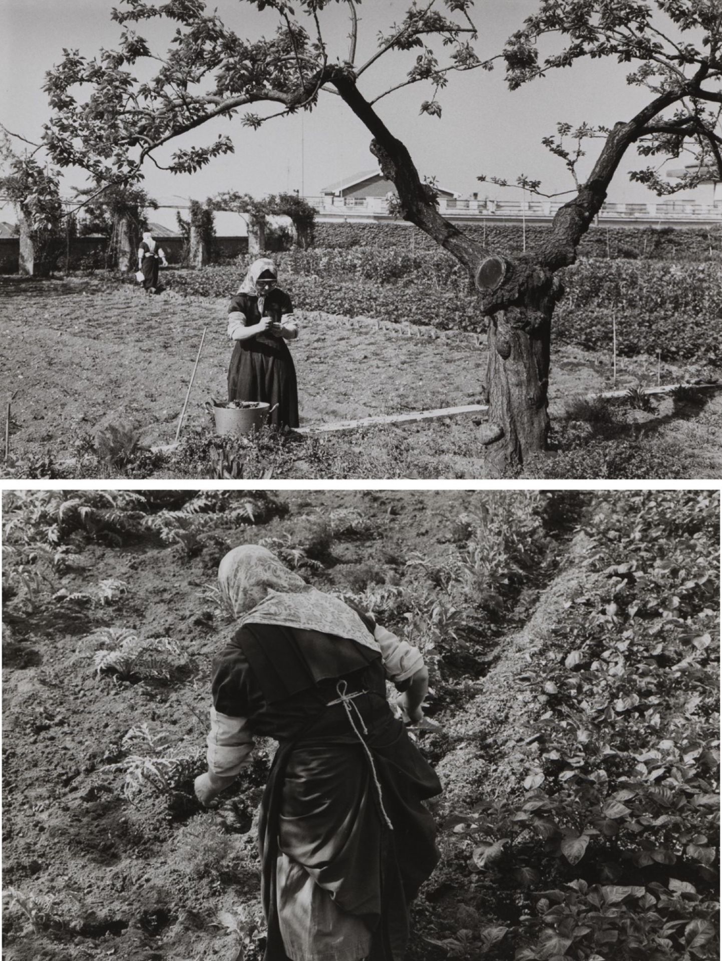 Edouard Boubat (1923-1999) - Untitled (Countrywoman), years 1950 - Two gelatin [...]