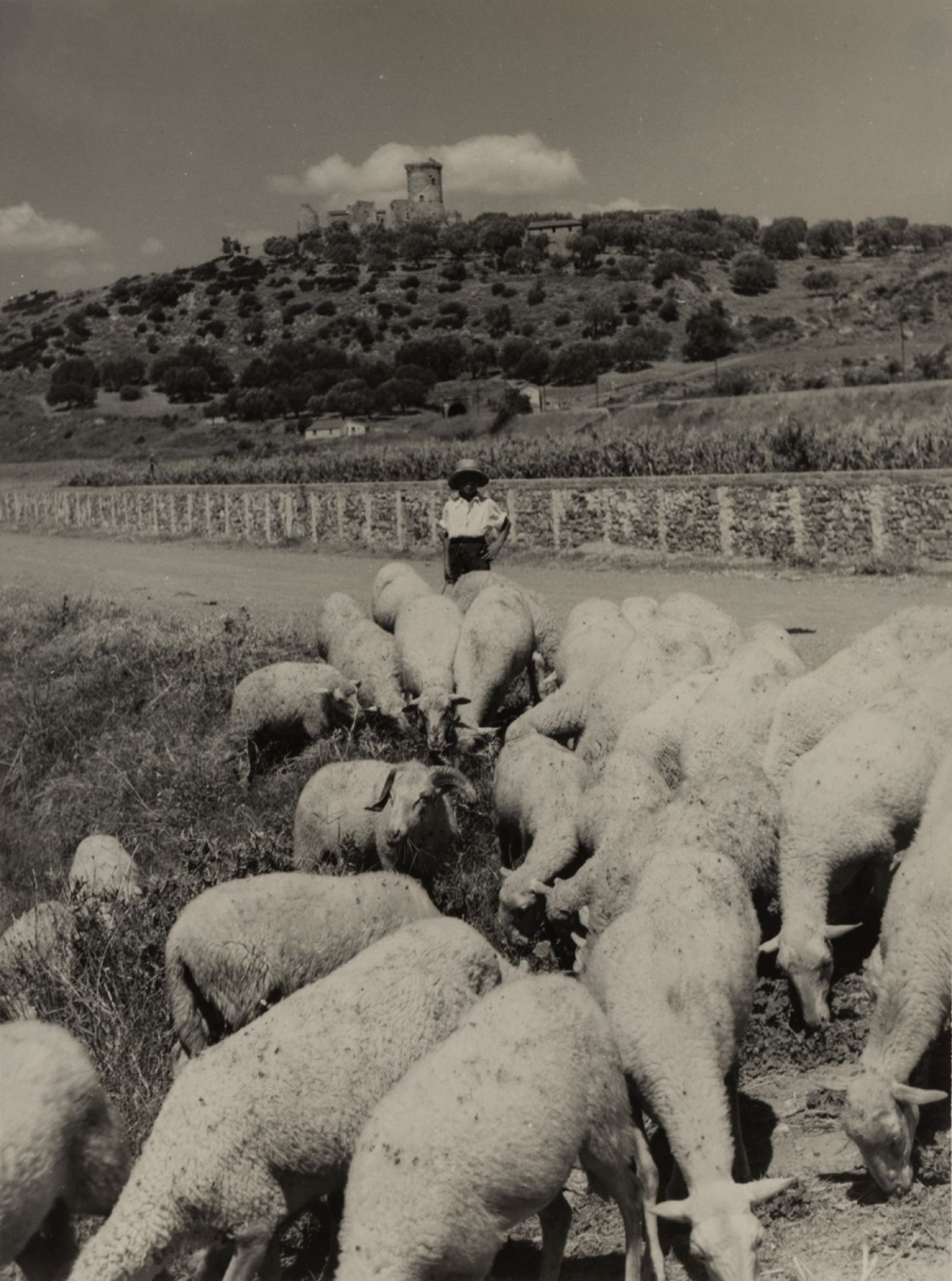 Giulio Parisio - Landscapes, years 1930/1940 - Eight vintage gelatin silver prints [...] - Bild 6 aus 9