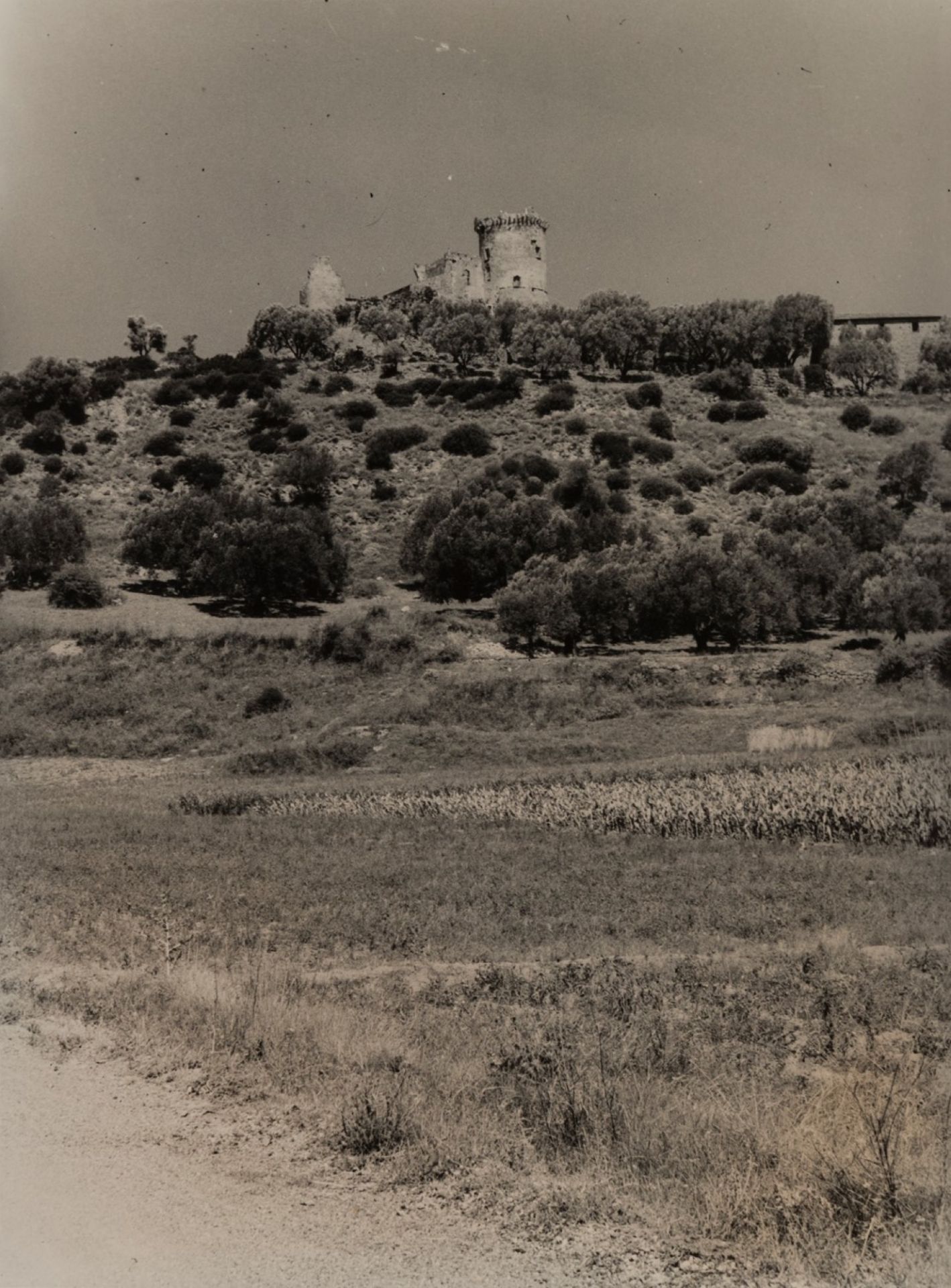 Giulio Parisio - Landscapes, years 1930/1940 - Eight vintage gelatin silver prints [...] - Bild 2 aus 9