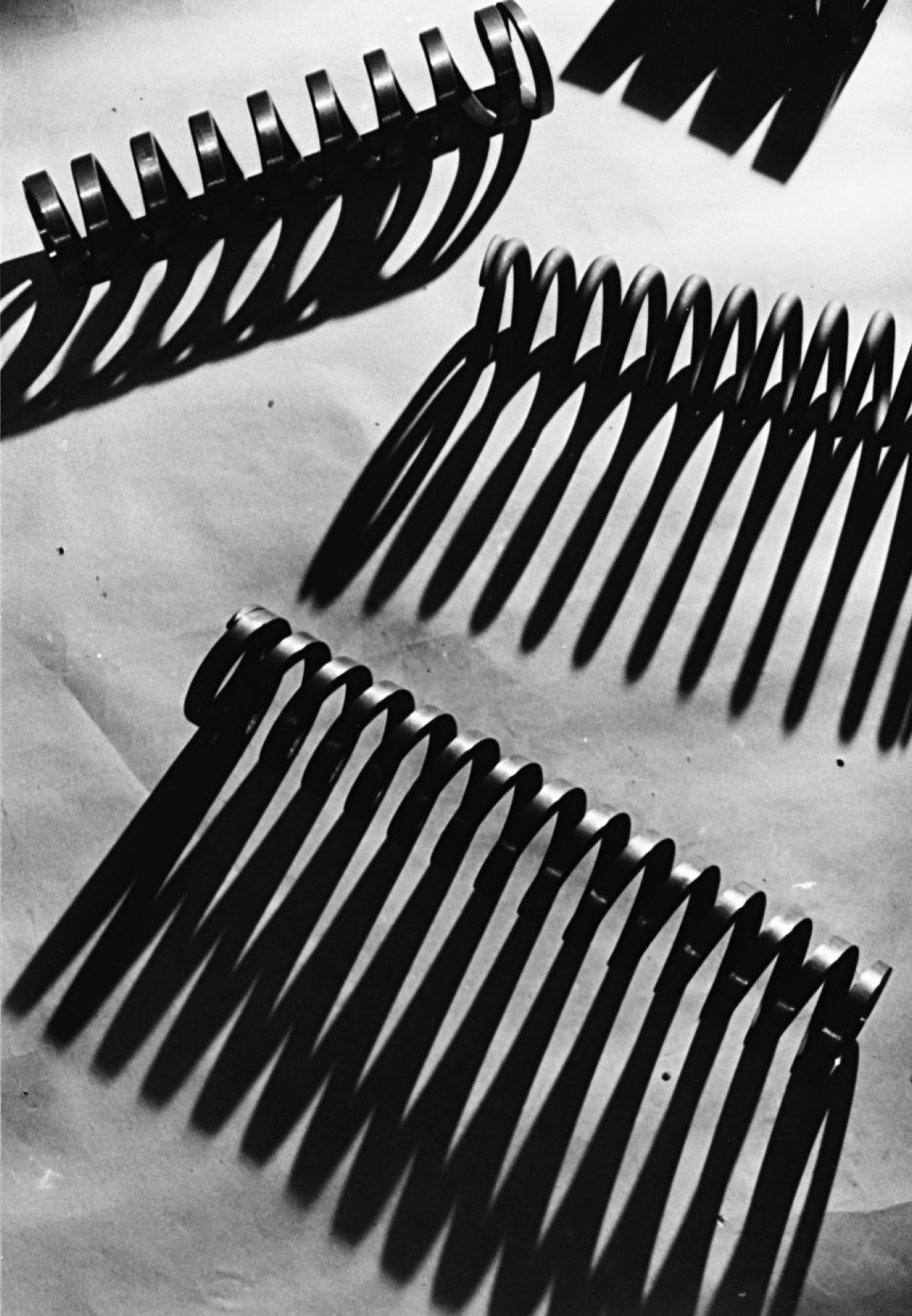 Riccardo Moncalvo (1915-2008) - Molle, 1940 - Gelatin silver print, printed years [...]