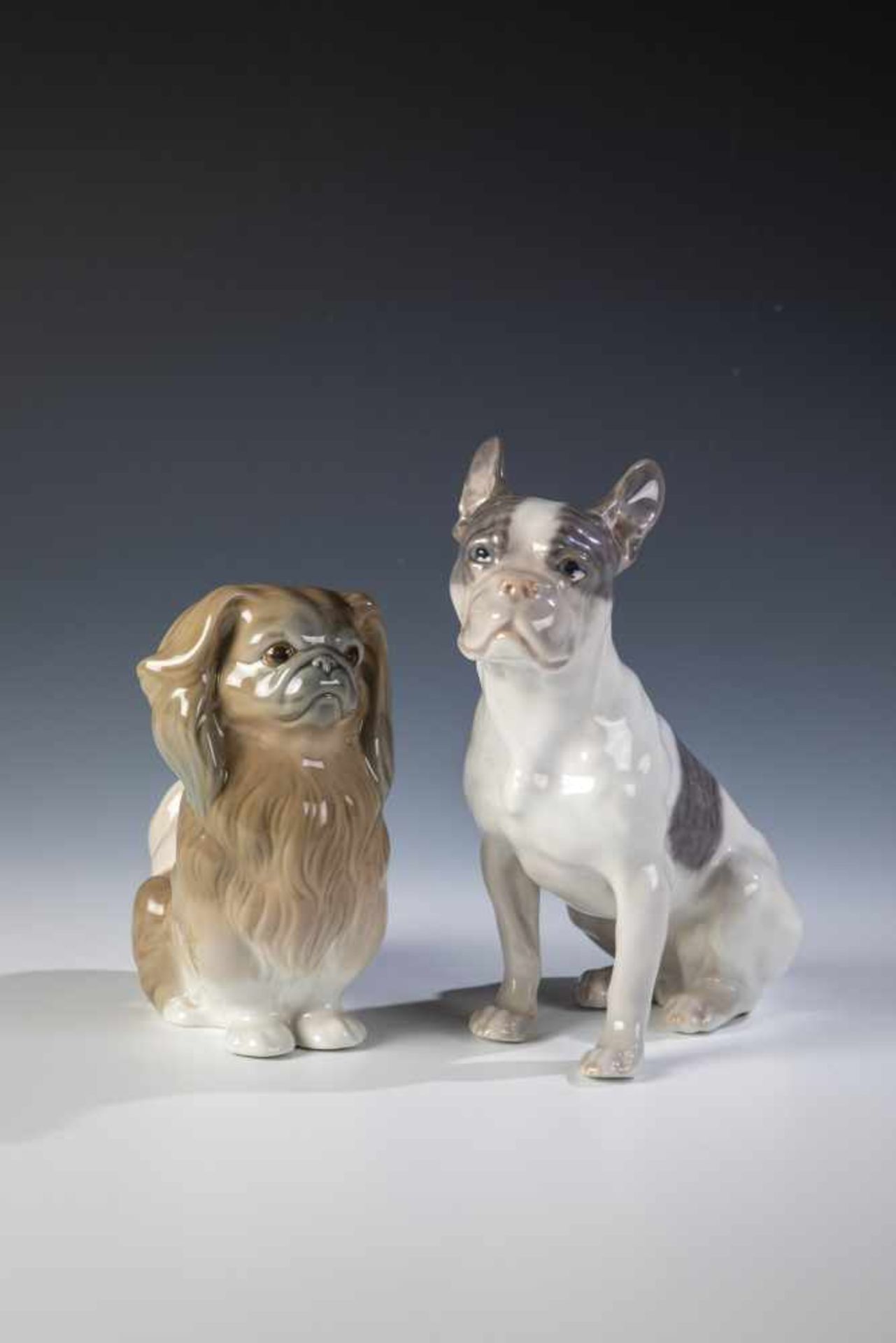 Französische Bulldogge und Pekinese