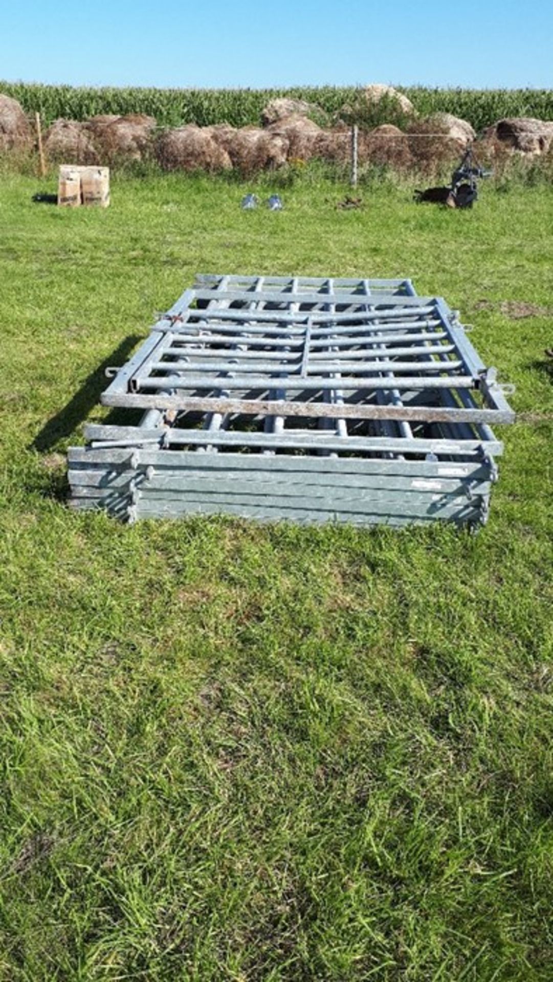 IAE Portable Cattle Handling Hurdles and Gates