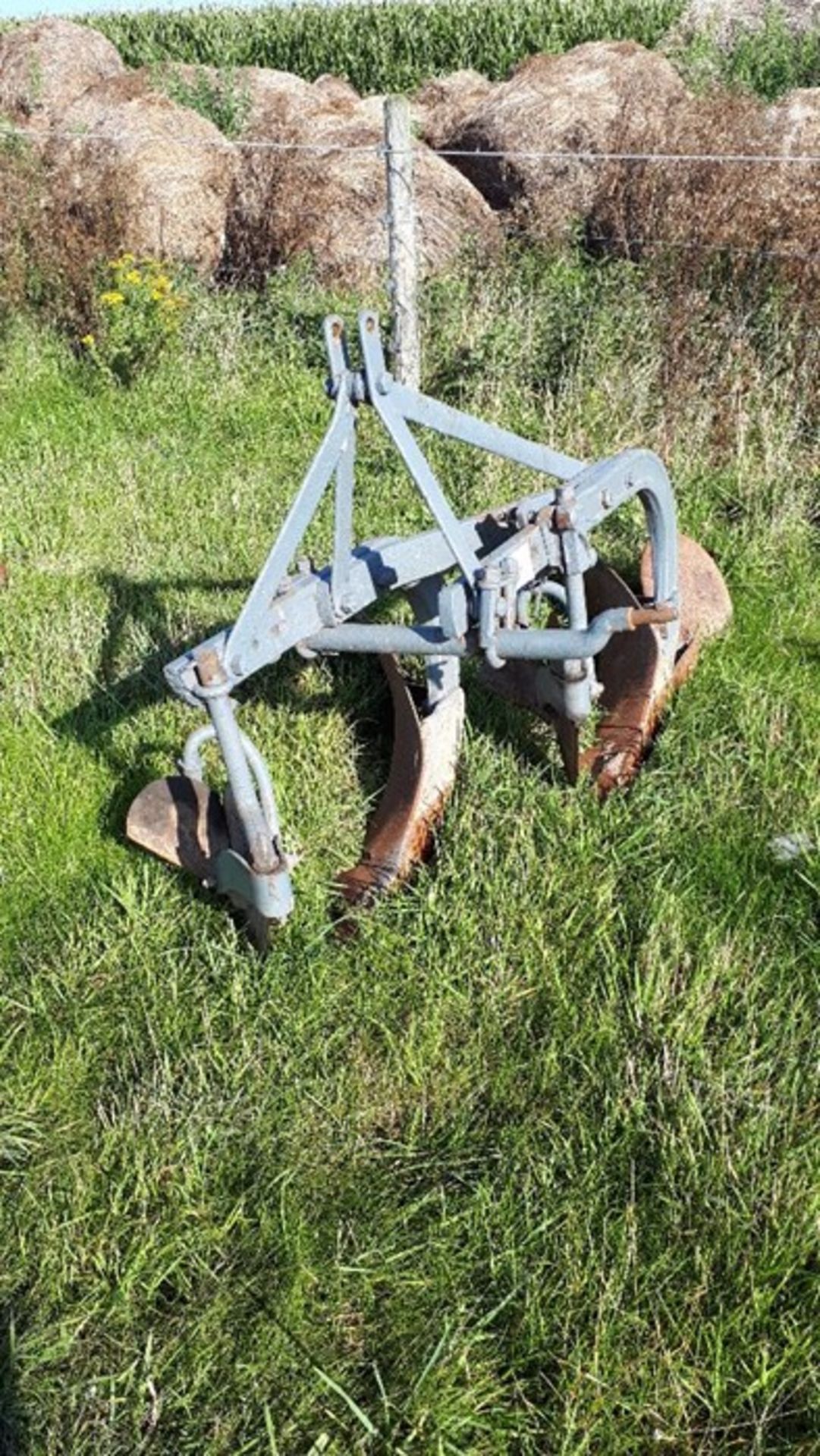 Massey Ferguson Two Furrow Conventional Plough