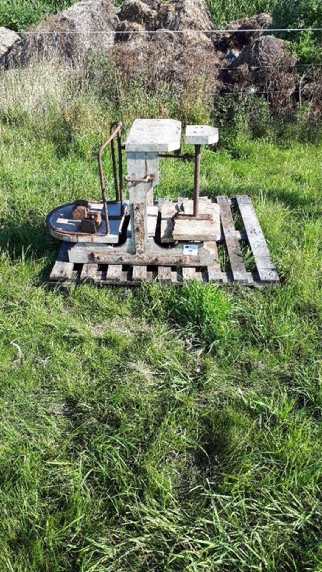 Timber Weigh Scales