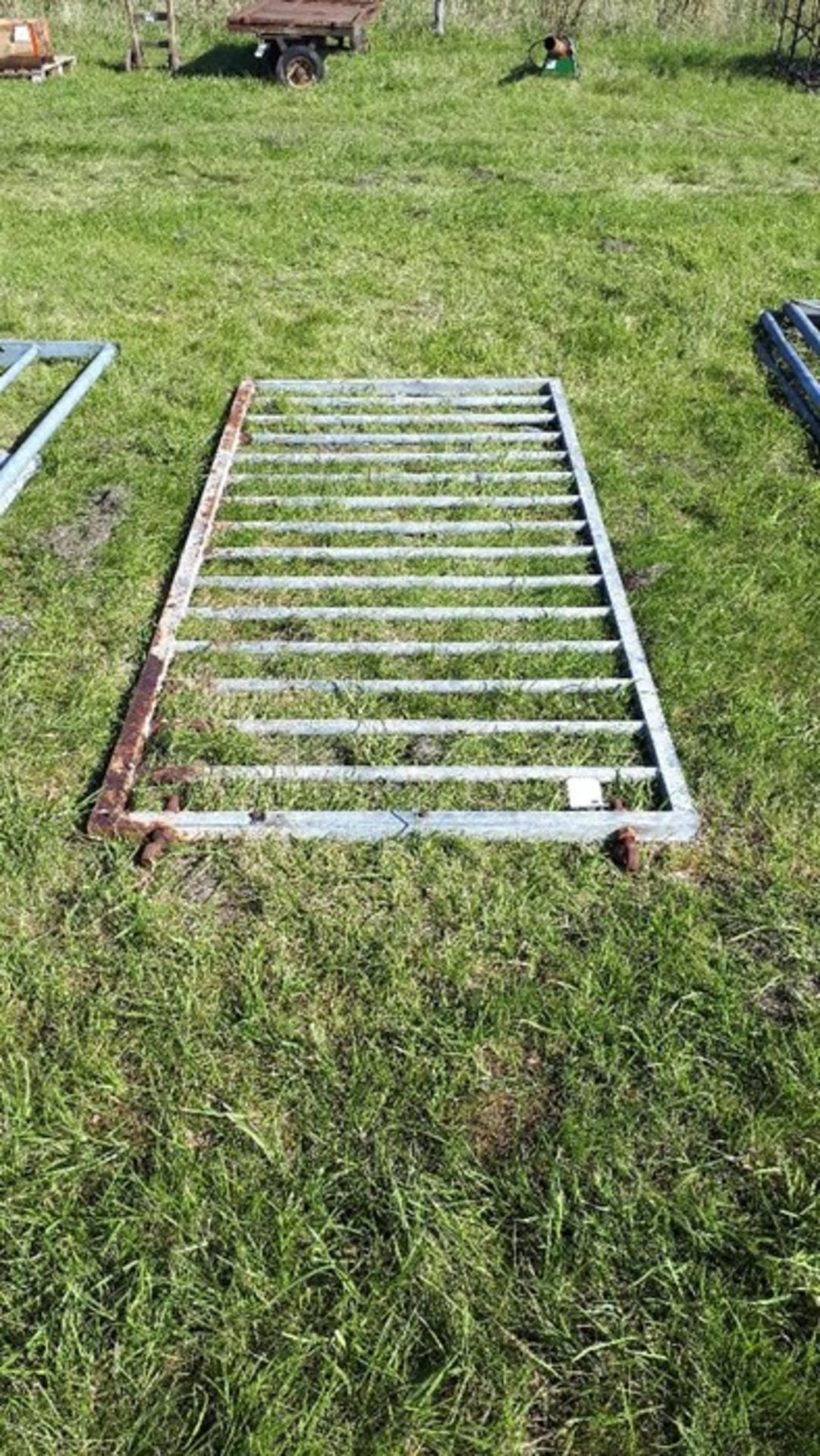 Galvanised Pig Gate