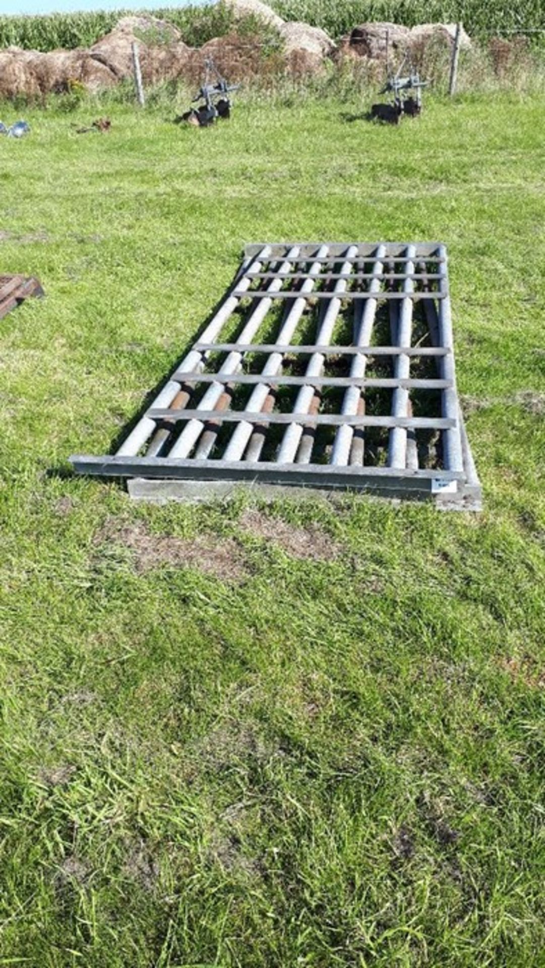 2 x Cattle Grid