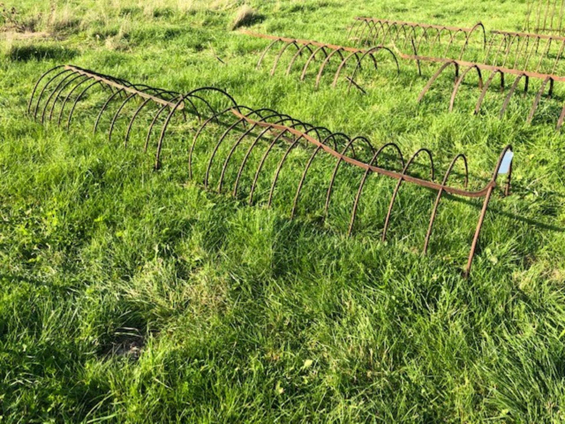 Cast Iron Tree Guard