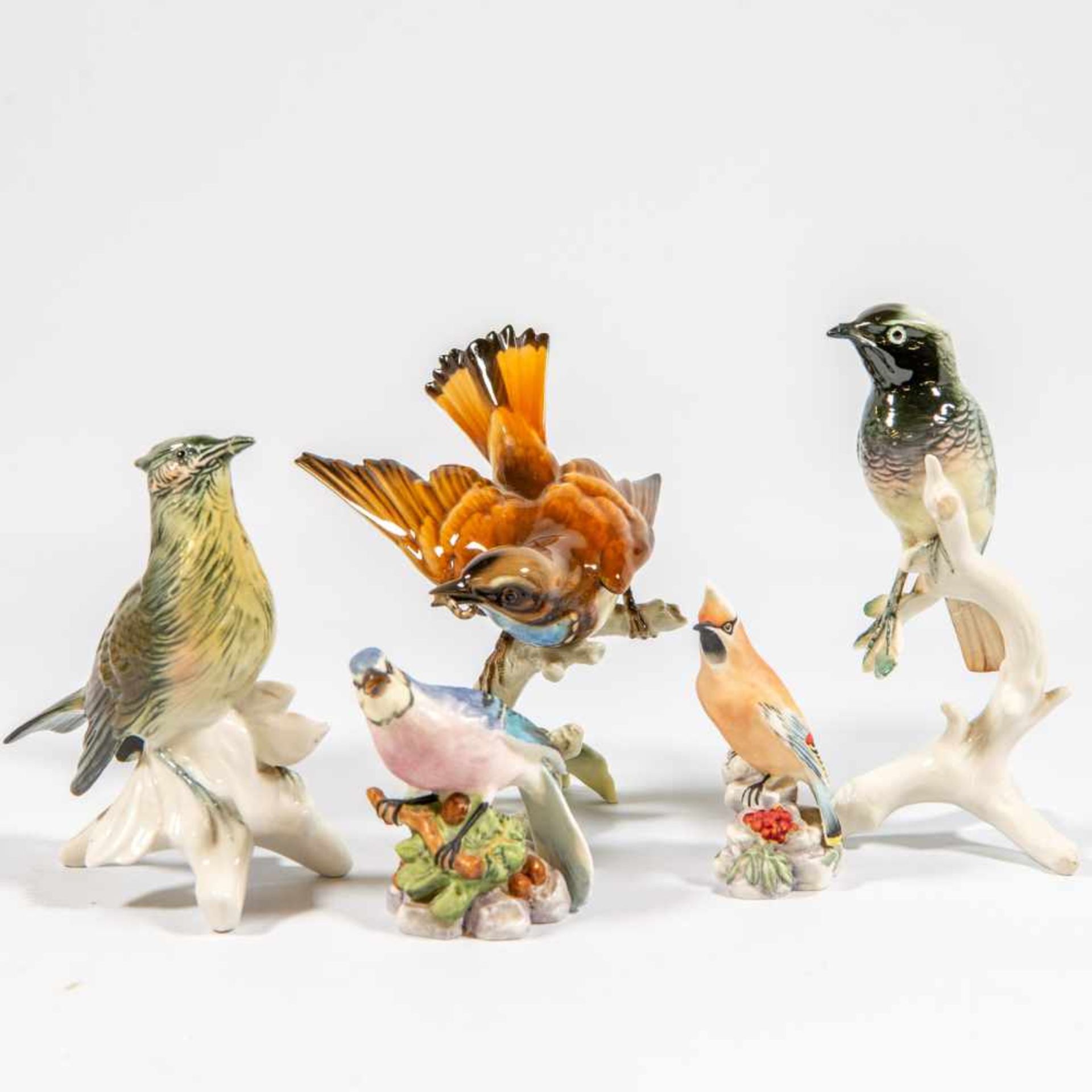 Good collection of Porcelain birds. Marked: "Hitchenreuter, Karl ENS Volksedt, Raybur, Adderly, - Bild 10 aus 12