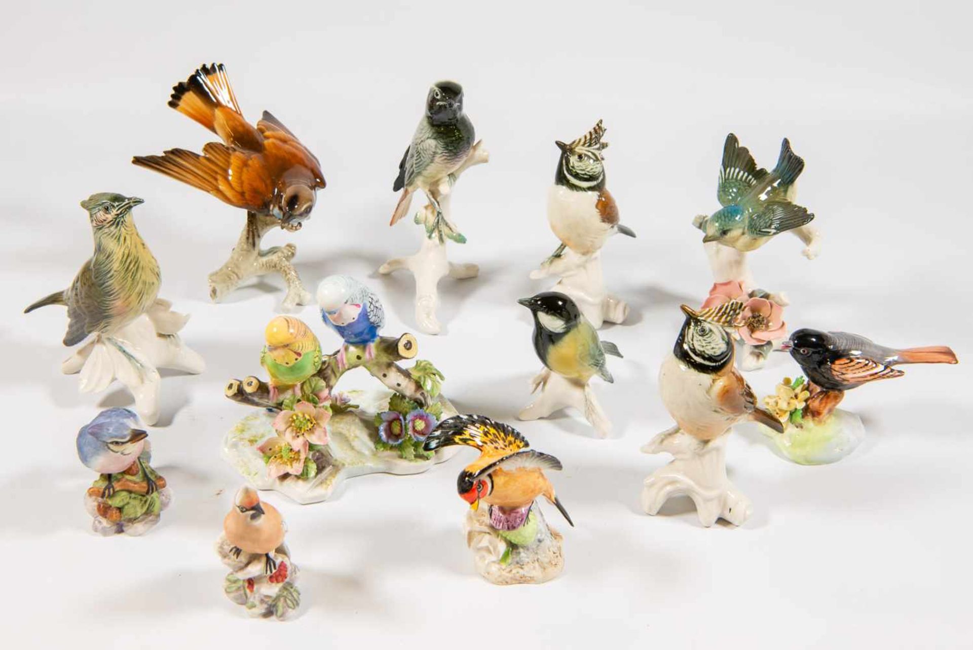 Good collection of Porcelain birds. Marked: "Hitchenreuter, Karl ENS Volksedt, Raybur, Adderly, - Bild 2 aus 12