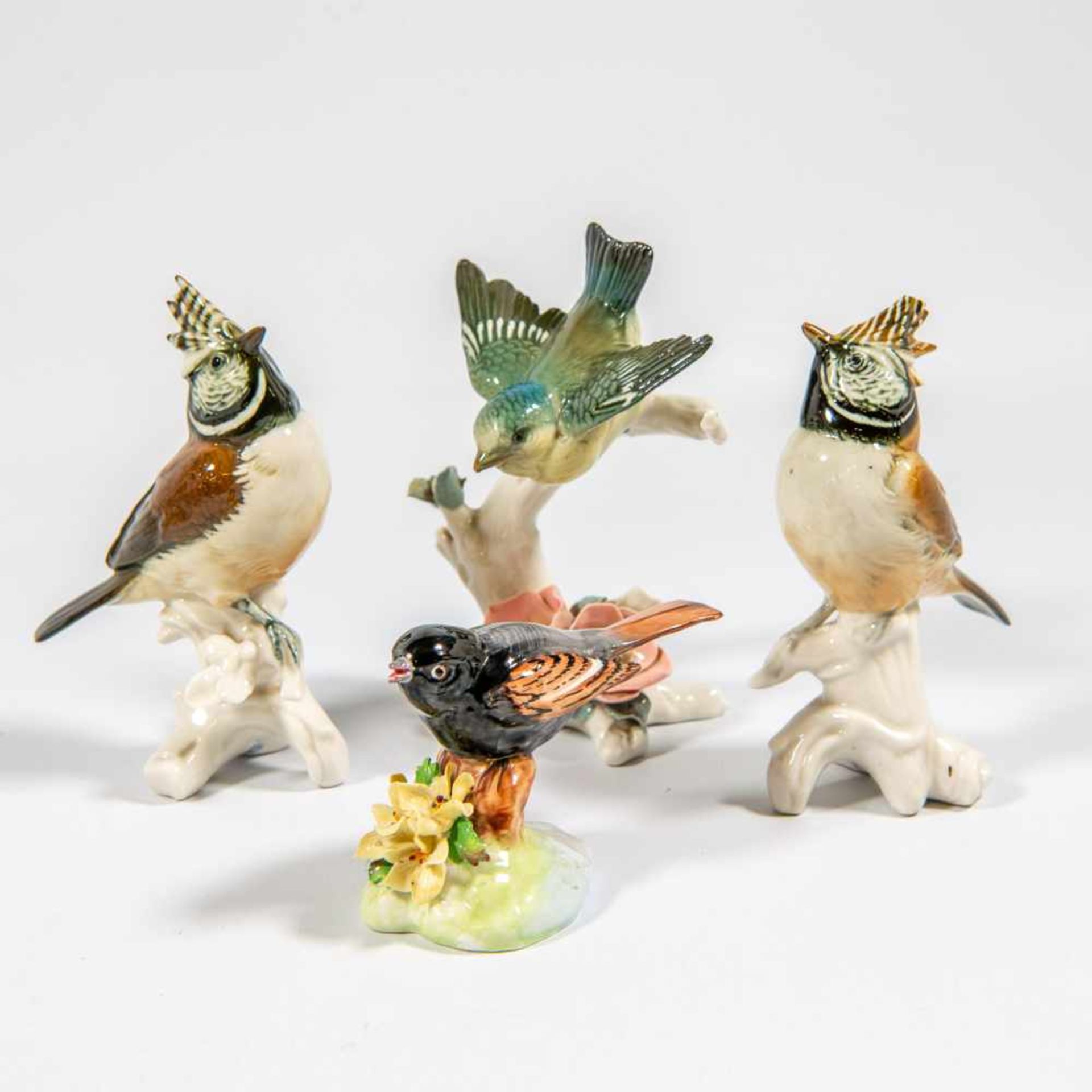 Good collection of Porcelain birds. Marked: "Hitchenreuter, Karl ENS Volksedt, Raybur, Adderly, - Bild 5 aus 12