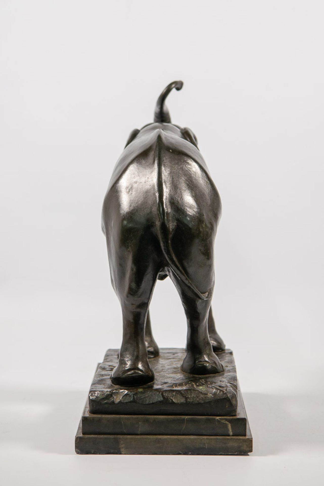 Elephant, Bronze - Bild 10 aus 10