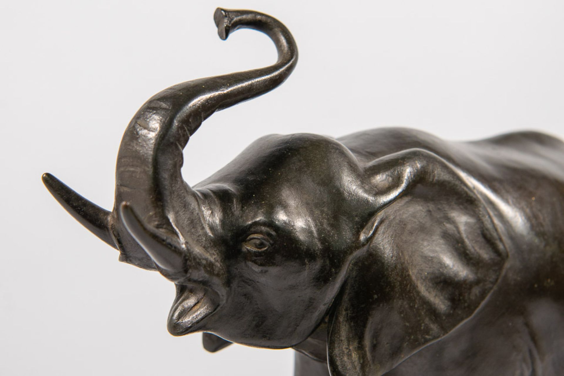 Elephant, Bronze - Bild 7 aus 10