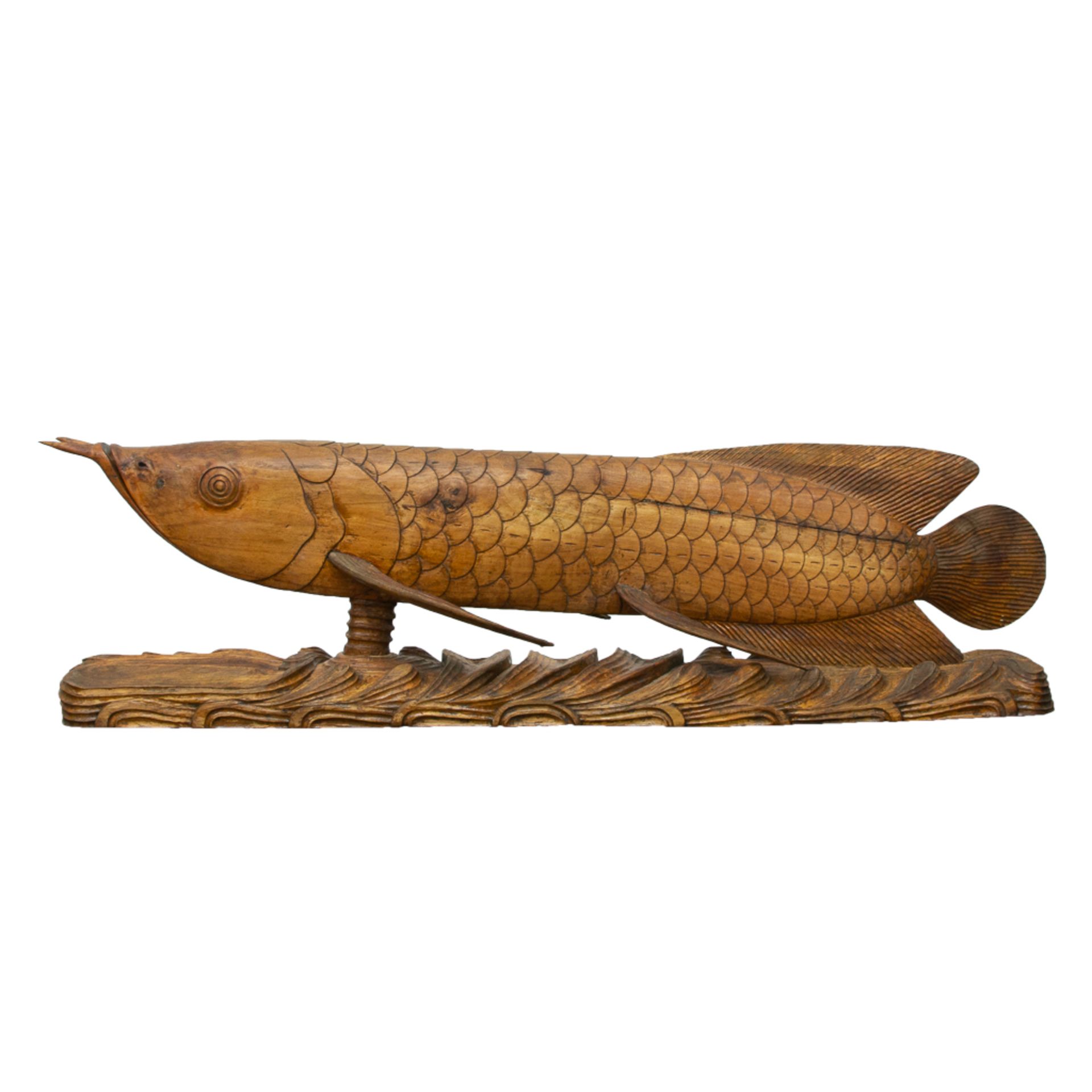 Large hardwood fish