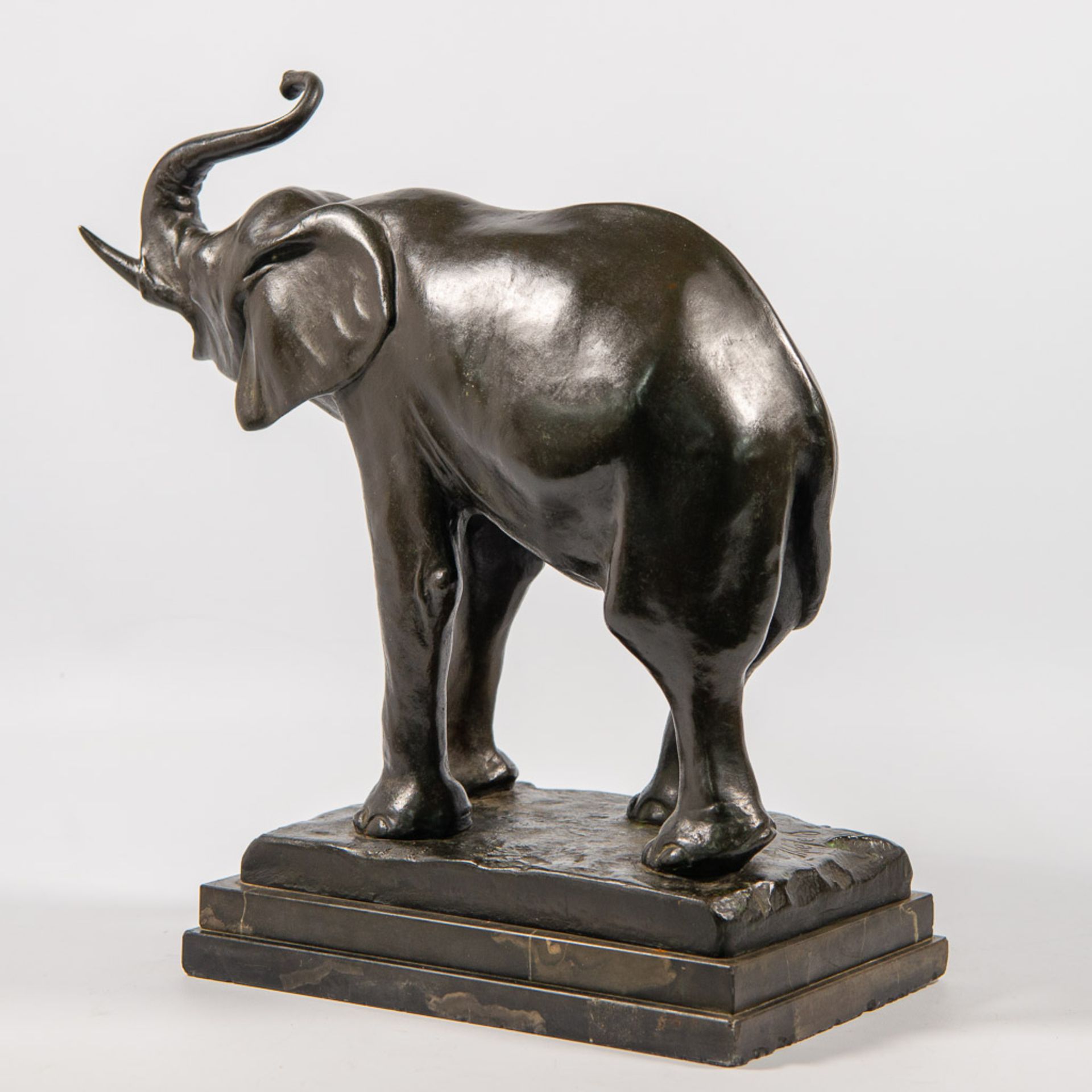 Elephant, Bronze - Bild 4 aus 10