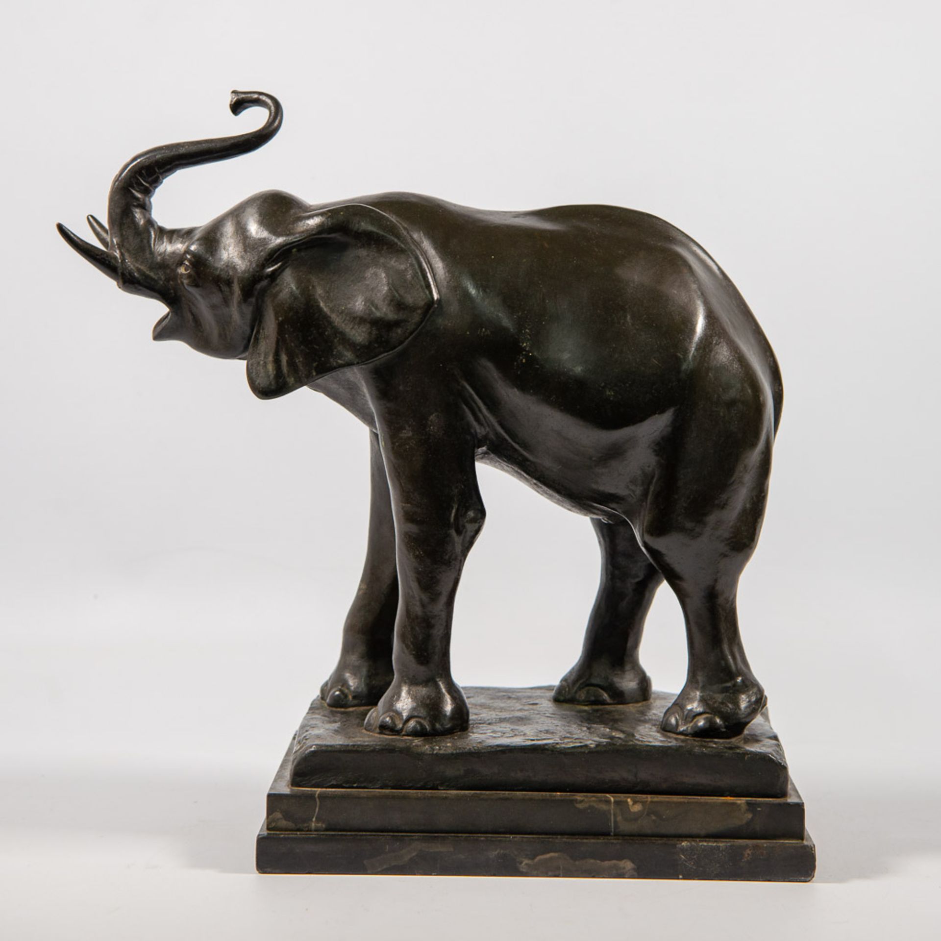 Elephant, Bronze - Bild 6 aus 10