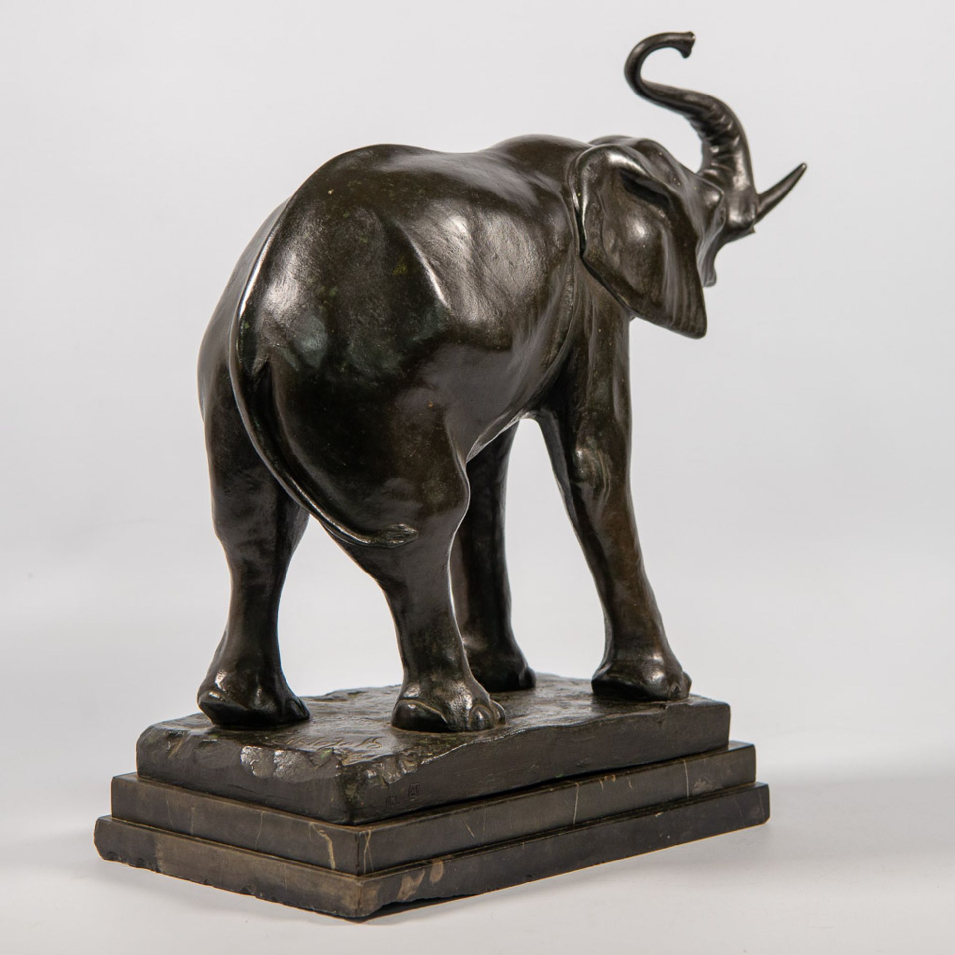 Elephant, Bronze - Bild 3 aus 10