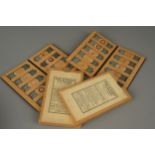 Two Sets of Microscope Slides by Prof. Fr. Sigmund,