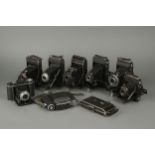 A Selection of Various Folding Cameras,