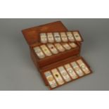 A Collection of Cole Microscope Slides,