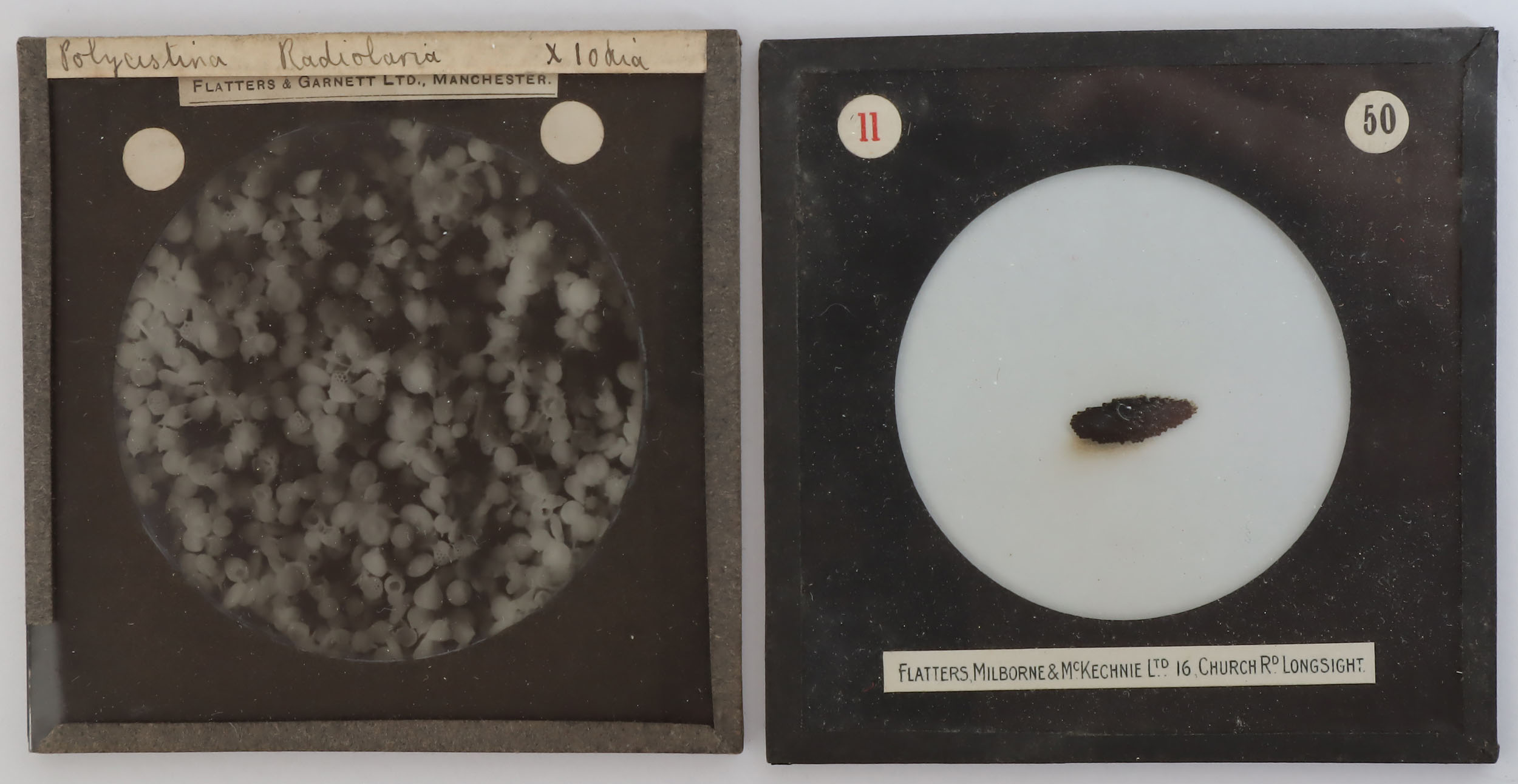 A Collection of Photomicrograph Lantern Slides, - Image 2 of 6