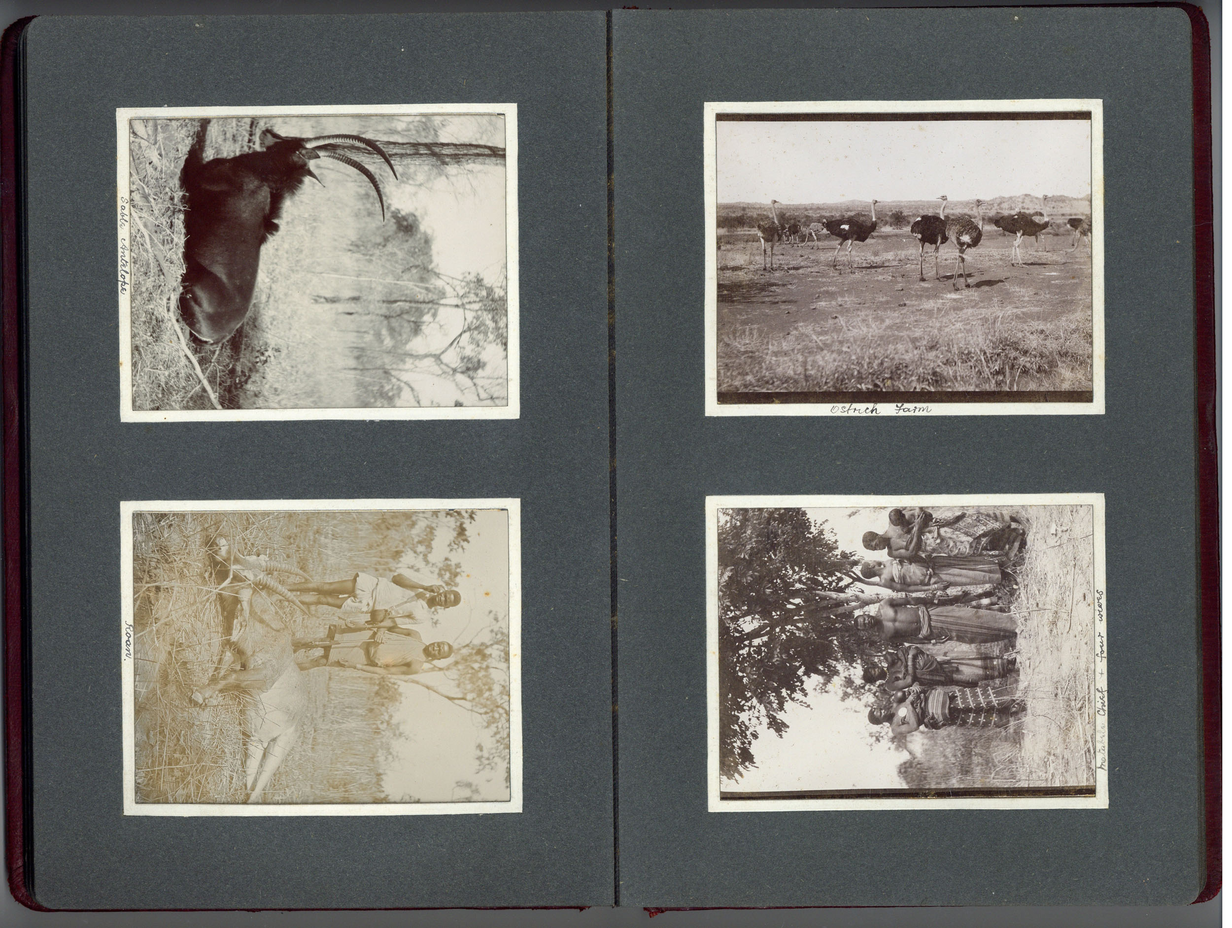 Photographs of Zimbabwe - Albums dated 1910, - Image 7 of 11