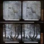 A Collection of 32 Glass Stereoviews,