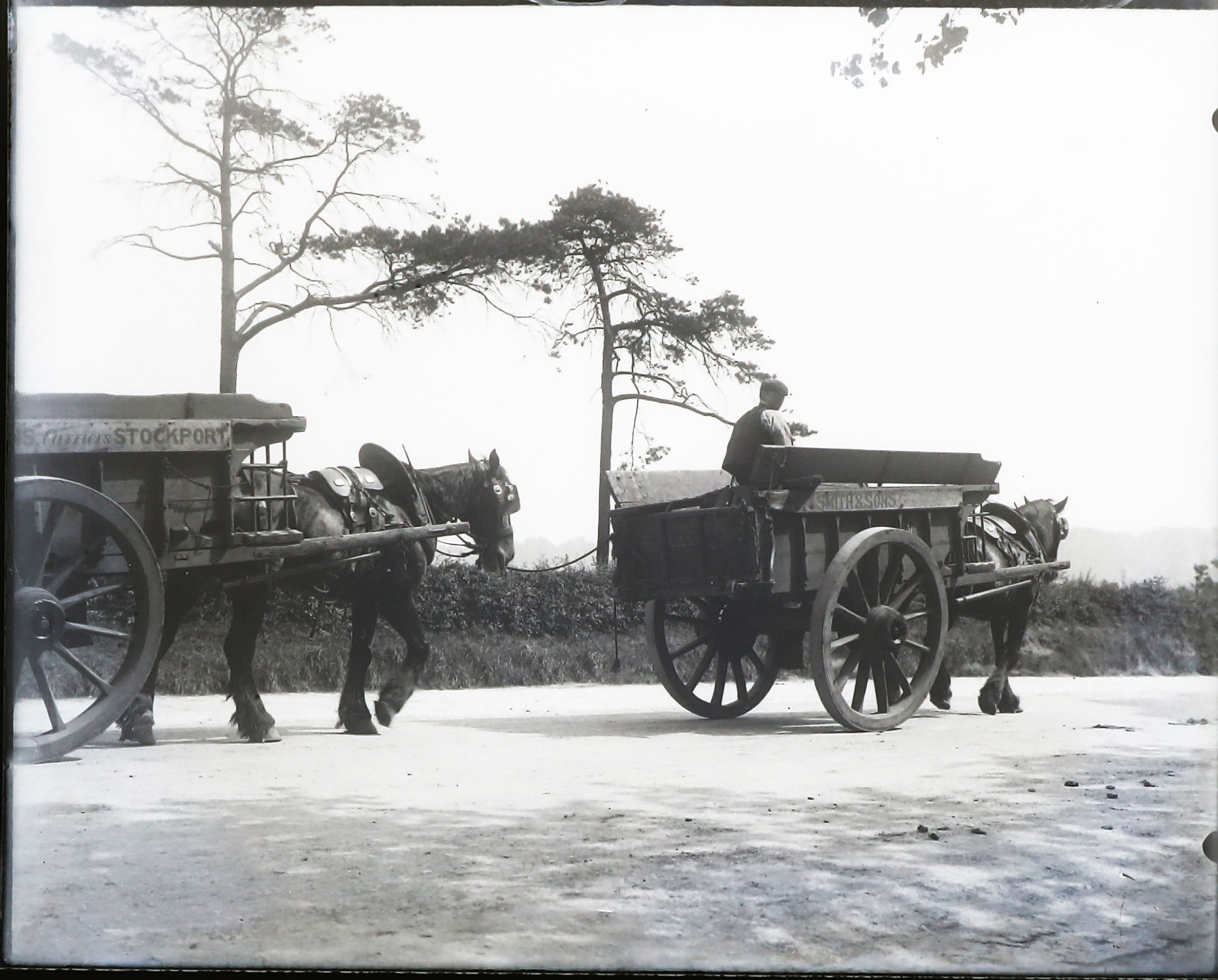 A Large Collection of Glass Plate Negatives, - Image 4 of 23