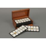 A Set of Human Anatomy Microscope Slides,