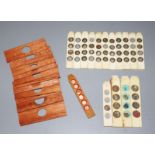 16 Ivory Microscope Sliders,