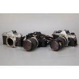 Three Nikon SLR Cameras,