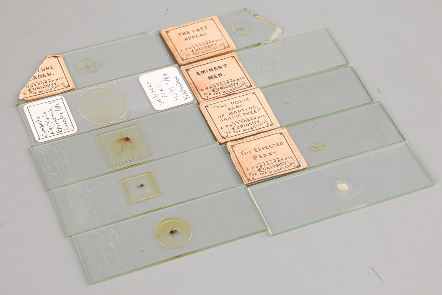 Small Collection of Microscope Slides, - Image 2 of 2