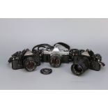 Three Canon SLR Cameras,