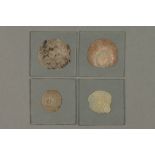 A Collection of Large and Early Mineral Microscope Slides,