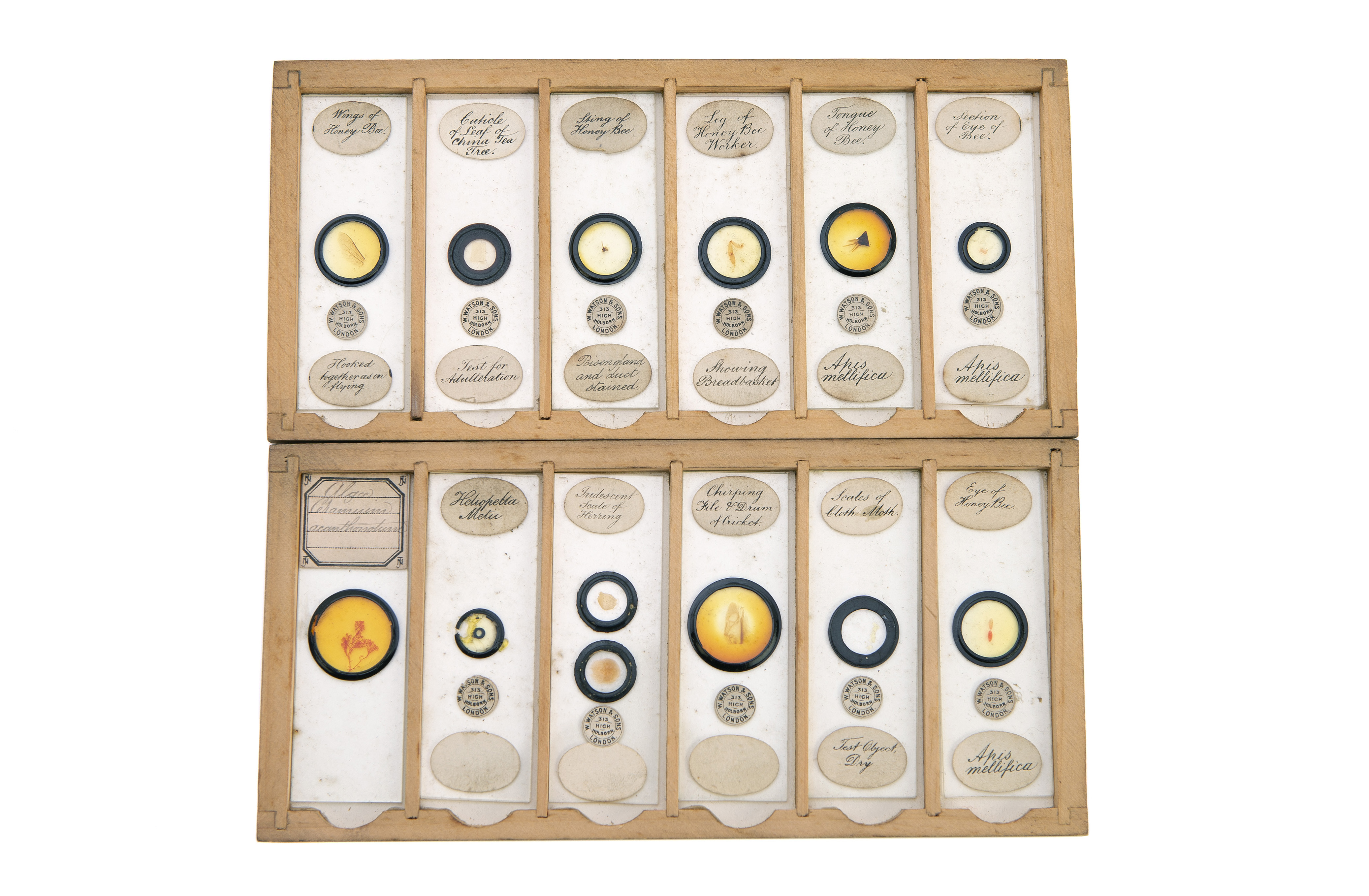 A Set of Microscope Slides, - Image 5 of 8