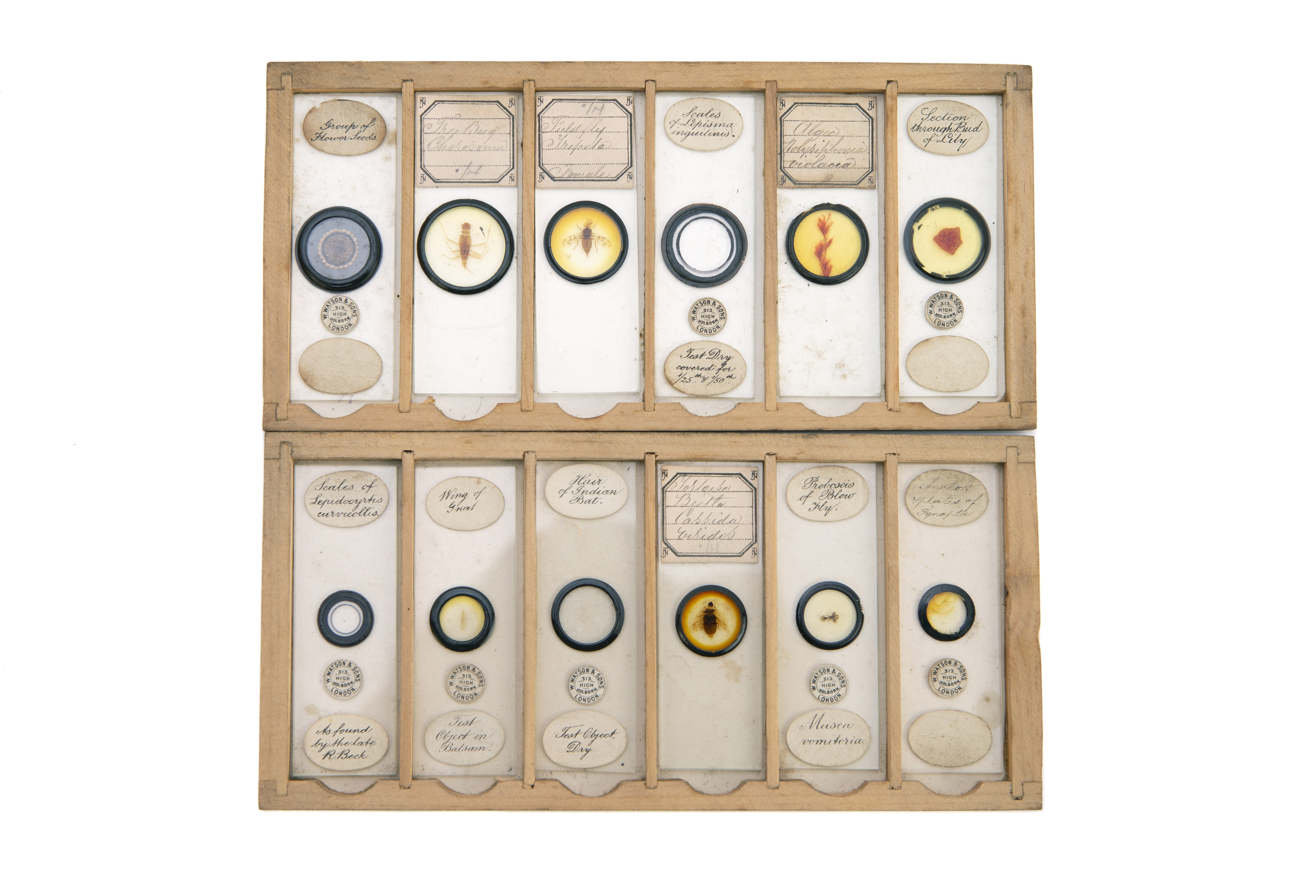 A Set of Microscope Slides, - Image 4 of 8