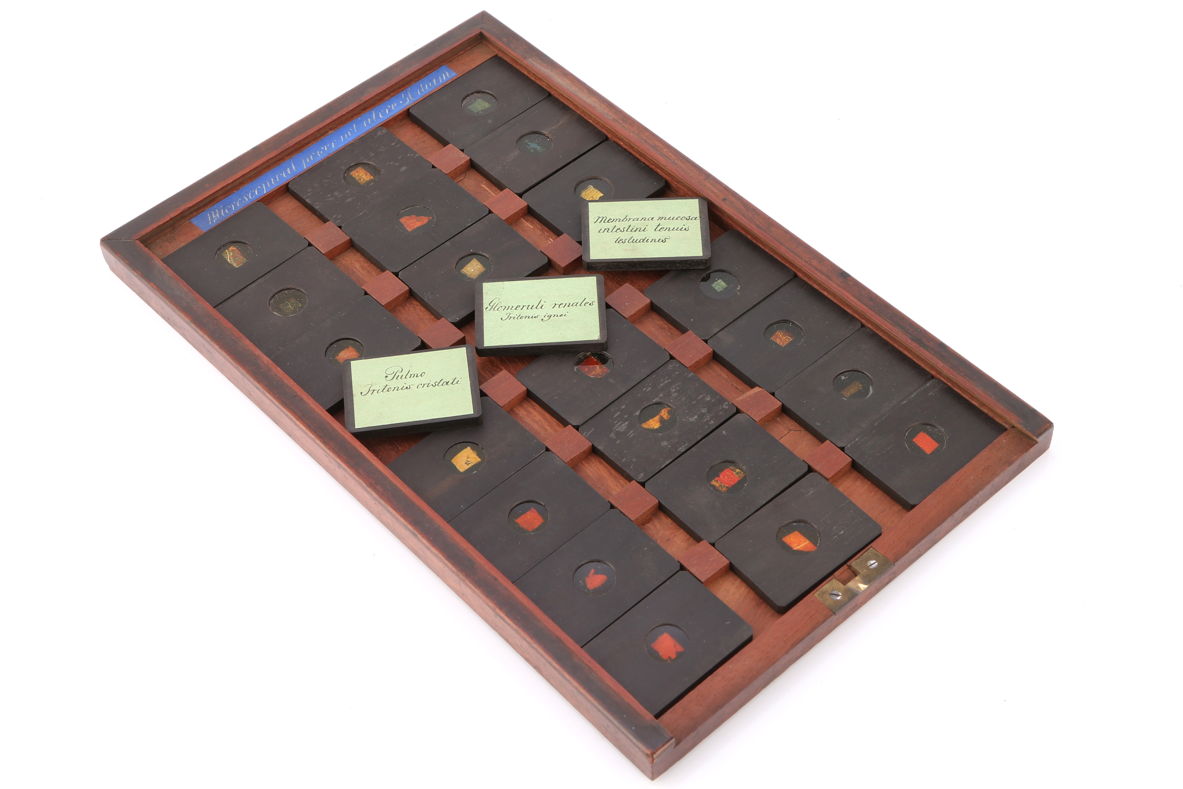 A Cased Set of Hyrtl Microscope Slides, - Image 2 of 3