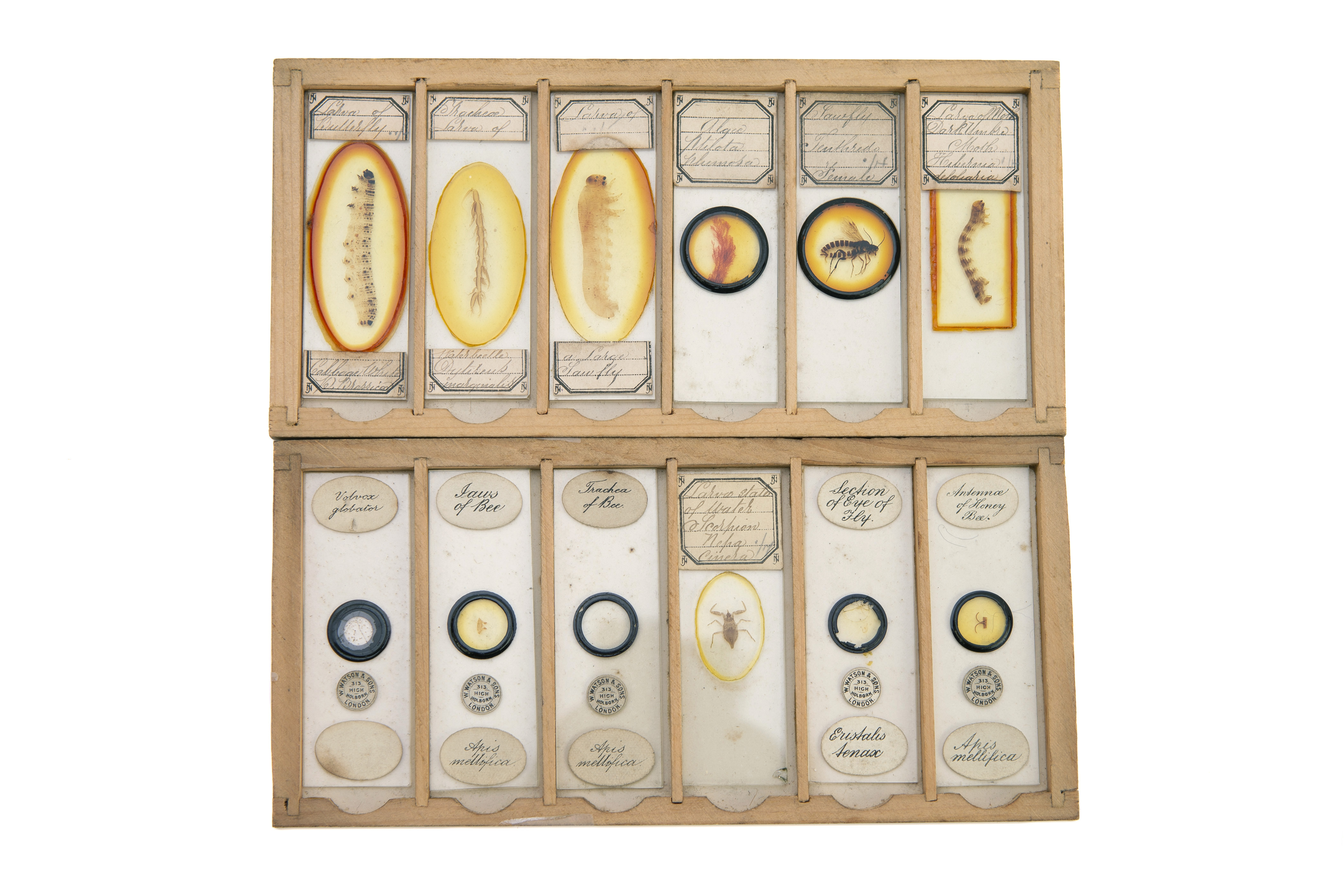 A Set of Microscope Slides, - Image 6 of 8