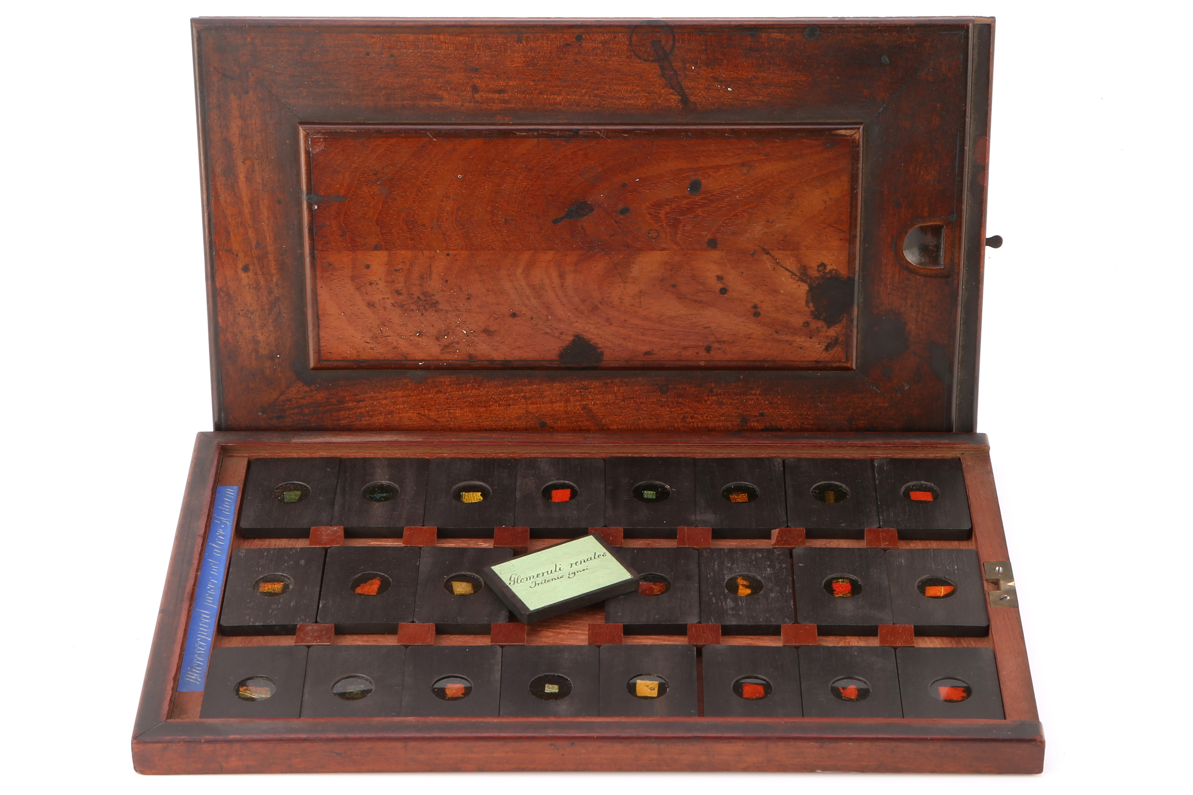 A Cased Set of Hyrtl Microscope Slides,