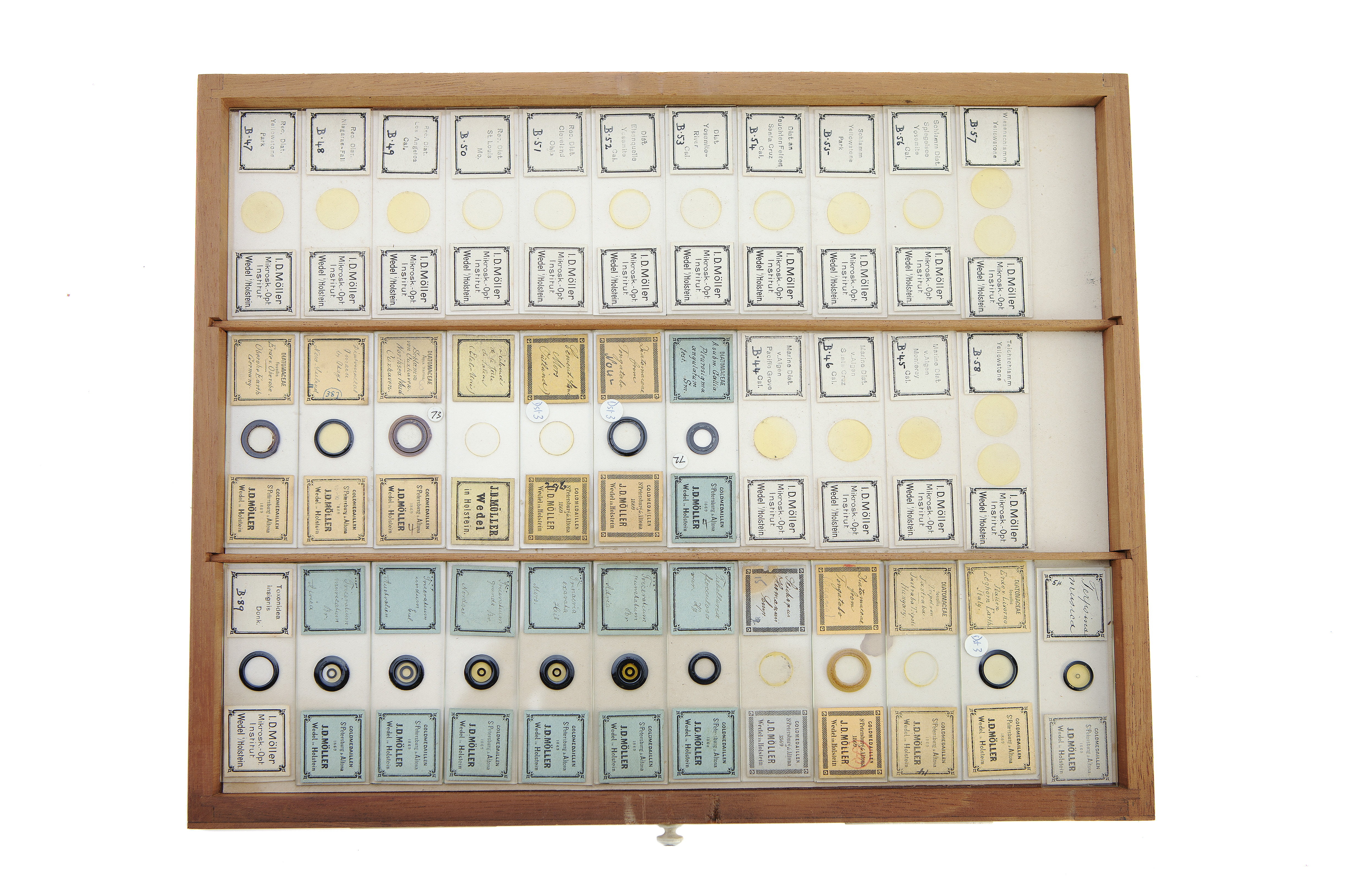 A Large Cabinet of Microscope Slides, - Image 11 of 30