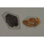 An Early Mineral Microscope Slides from The Robert Furguson Collection,