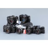 A Selection of Various SLR Cameras,