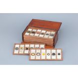 Microscope Slide Set,