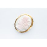 A 9ct Yellow Gold Shell Cameo Brooch,